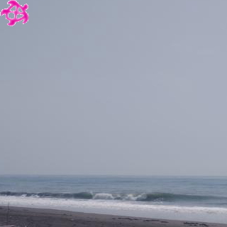 ▽腹～胸