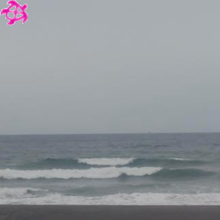 ▽腹