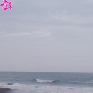 ▽腹～胸