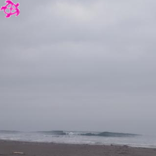 ▲ひざ