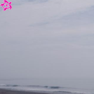 ▼ひざ