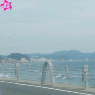 ▼もも