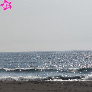 ×フラット
