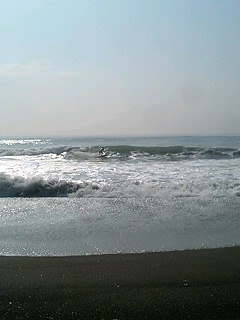 今日の波