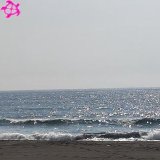 ×フラット