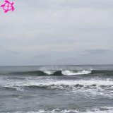 〇頭オーバー～頭半