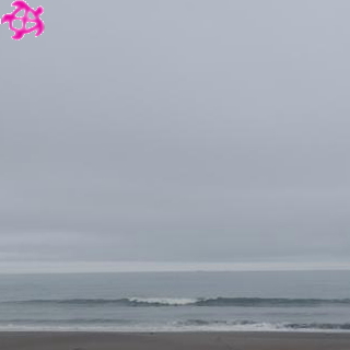 ▲ひざ
