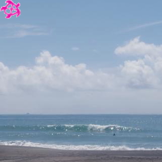 ▽腹～胸