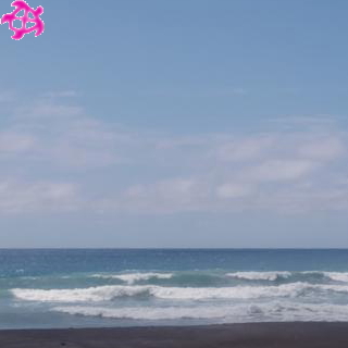 ▽腹～胸