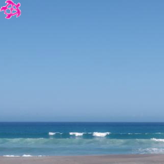 ▽腹→胸