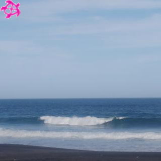 ▽腹～胸