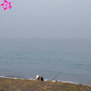 ×フラット
