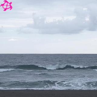 ▽胸～肩