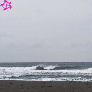 ▽胸