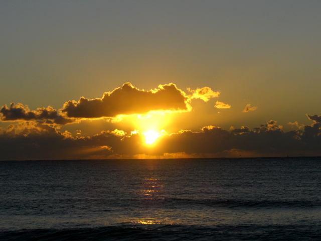 Hauoli makahiki hou!